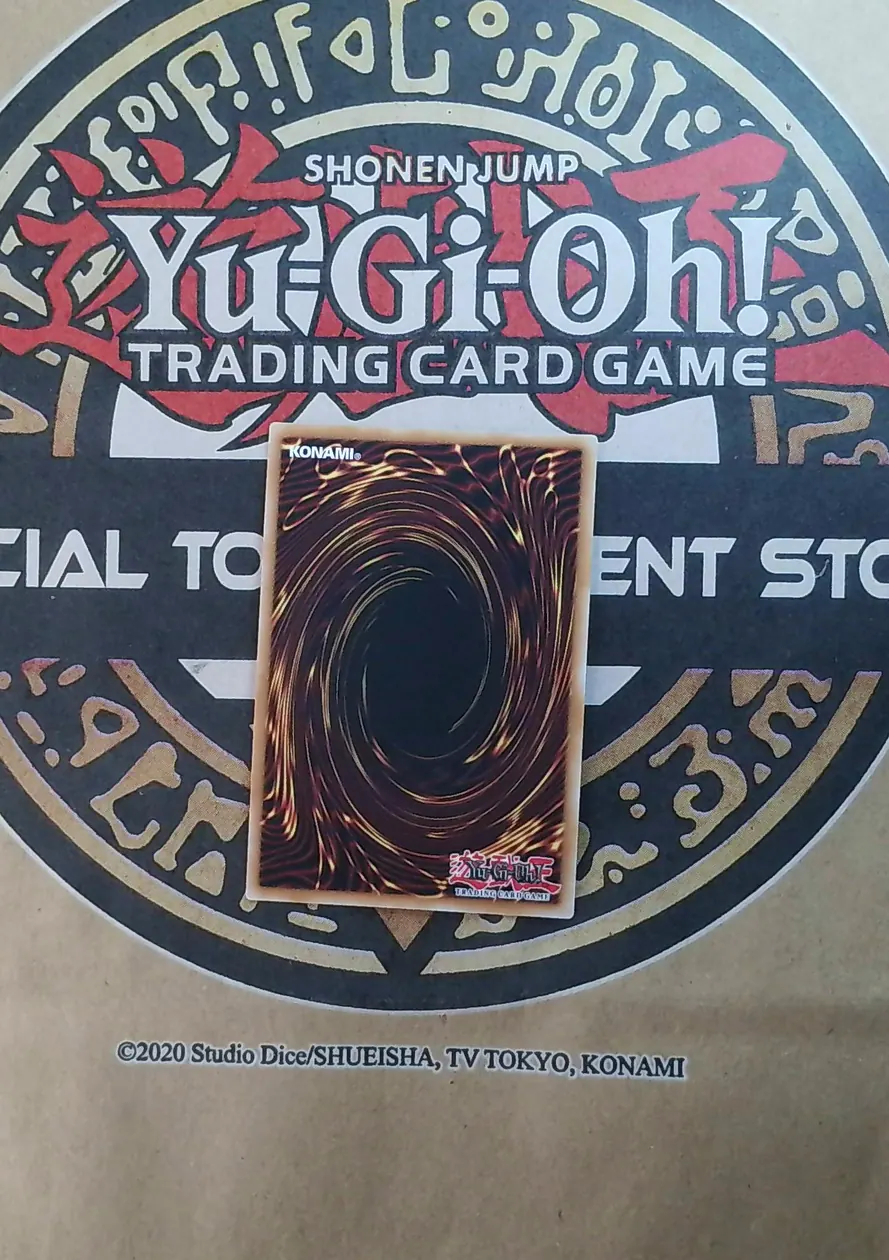 Fallen Angel in Darkness BLGG-EN031 Secret Rare back exact card scan