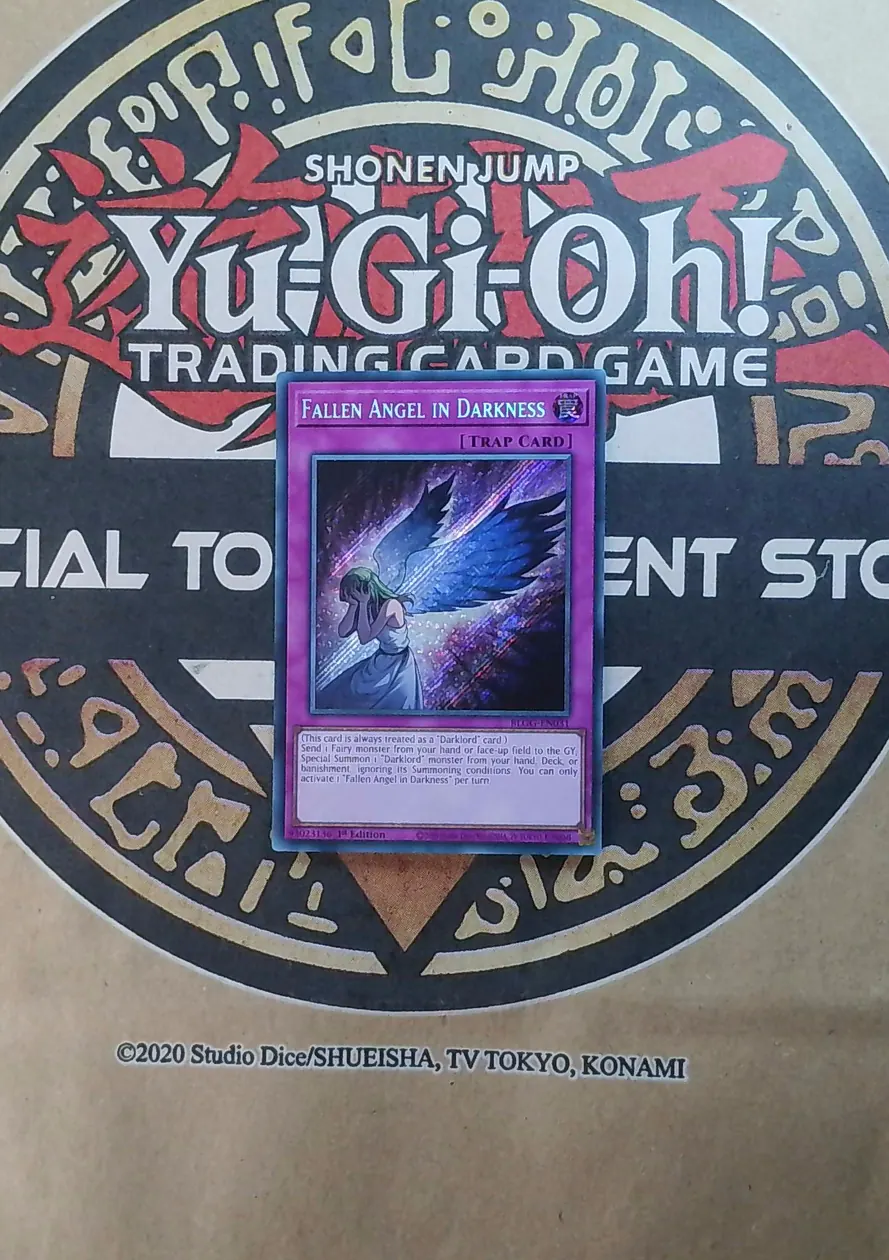 Fallen Angel in Darkness BLGG-EN031 Secret Rare exact card front