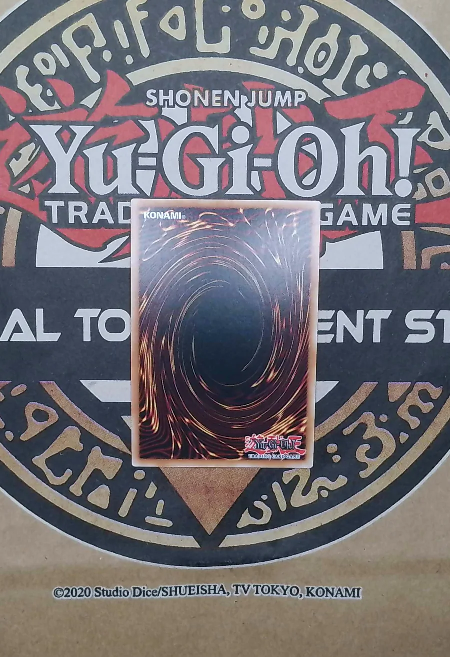 Unchained Soul of Rage RA02-EN041 Secret Rare back exact card scan