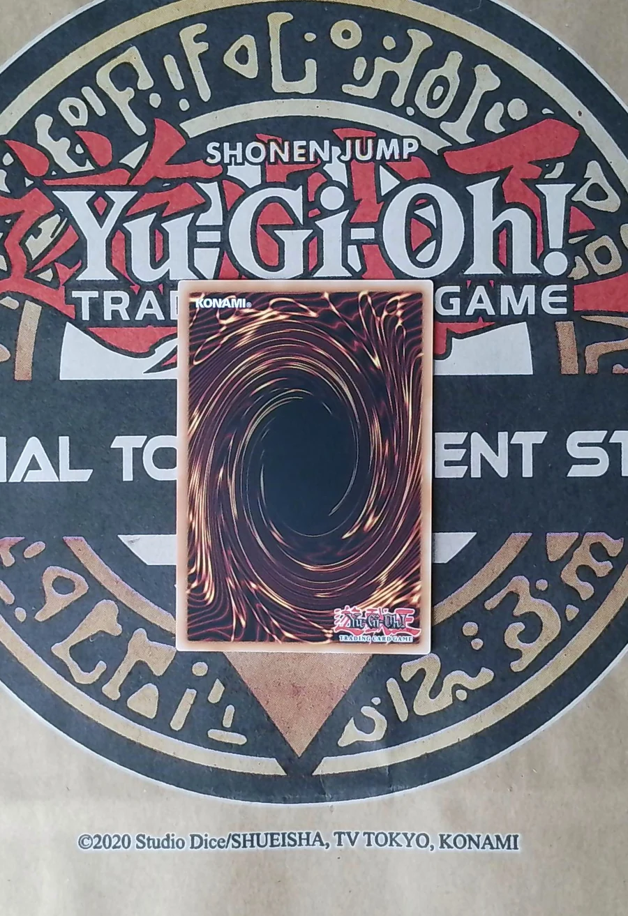 Evolzar Laggia BLGG-EN008 Secret Rare back exact card scan